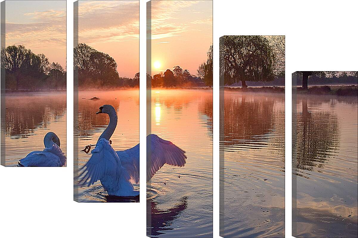 Модульная картина - Лебеди на закате