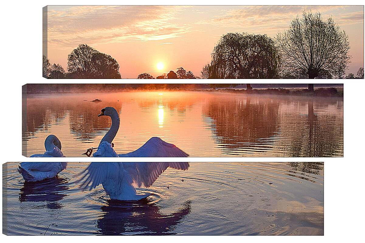Модульная картина - Лебеди на закате