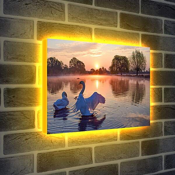 Лайтбокс световая панель - Лебеди на закате