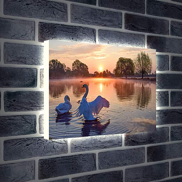 Лайтбокс световая панель - Лебеди на закате