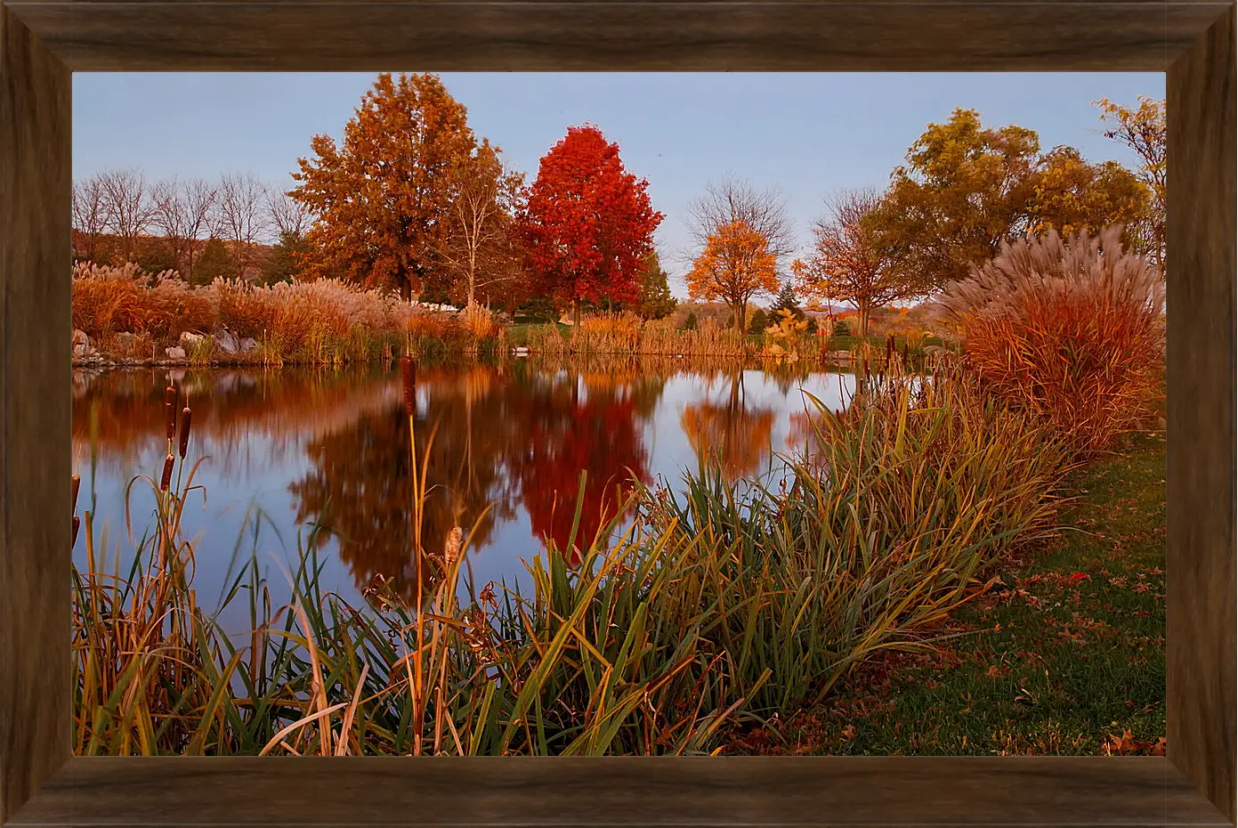 Картина в раме - Осень