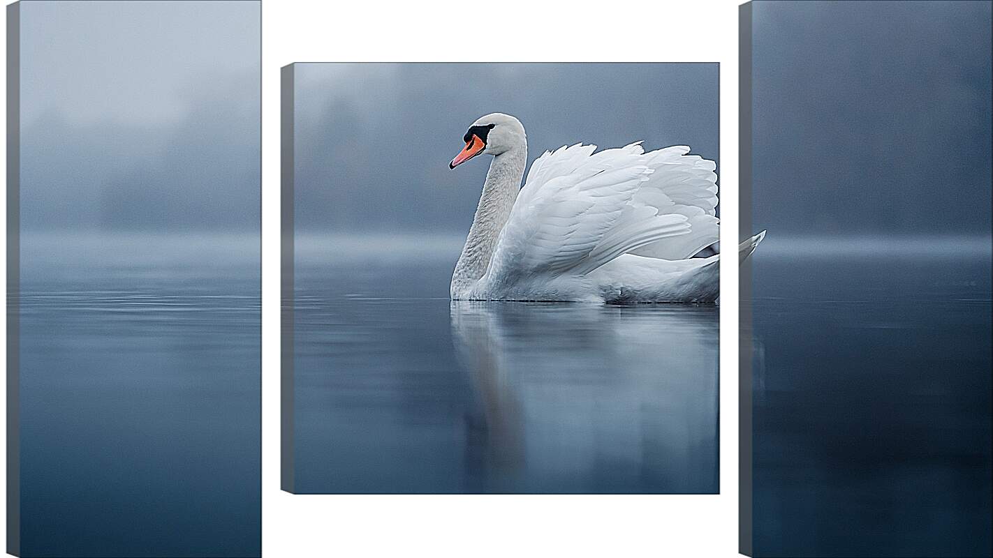 Модульная картина - Белый лебедь