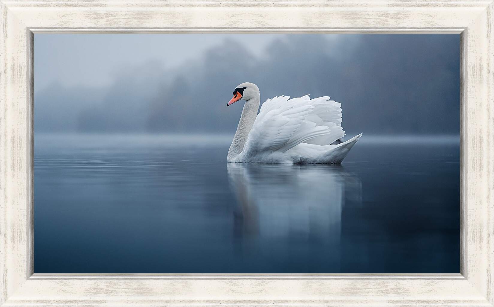 Картина в раме - Белый лебедь