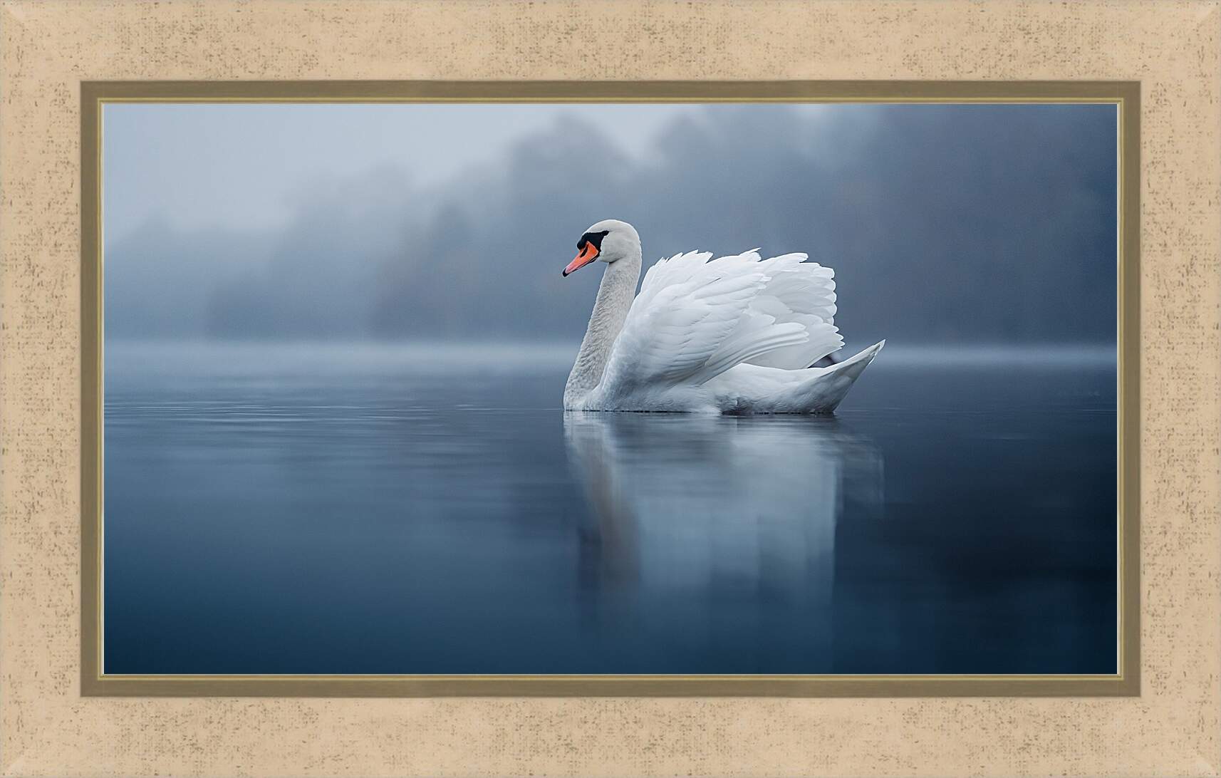 Картина в раме - Белый лебедь
