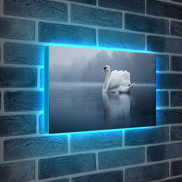Лайтбокс световая панель - Белый лебедь