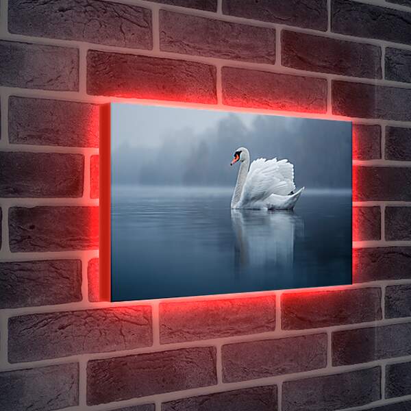 Лайтбокс световая панель - Белый лебедь