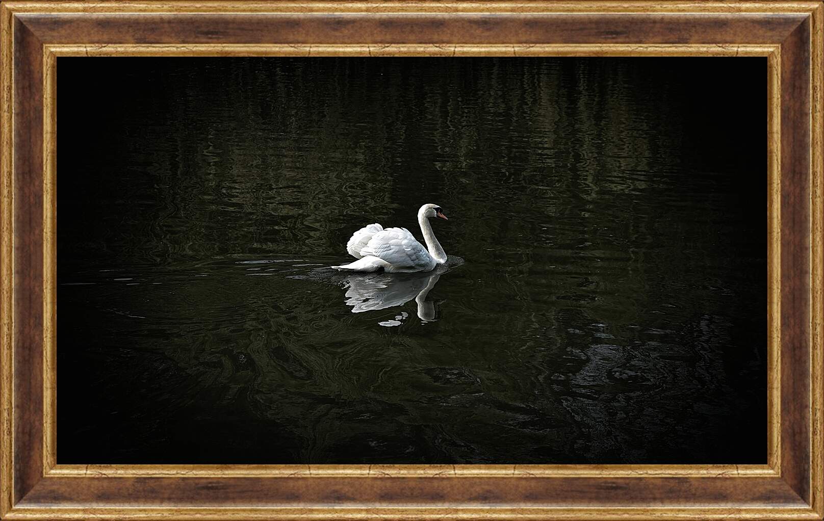 Картина в раме - Лебедь плывёт