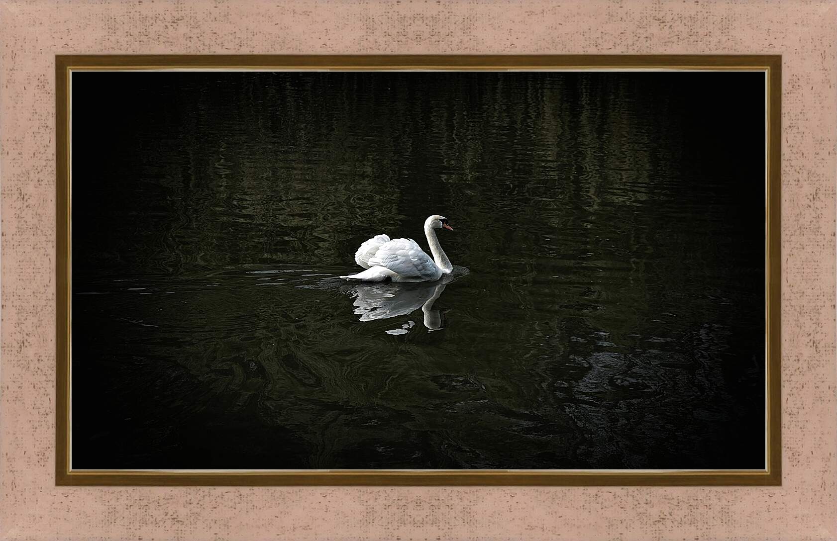 Картина в раме - Лебедь плывёт