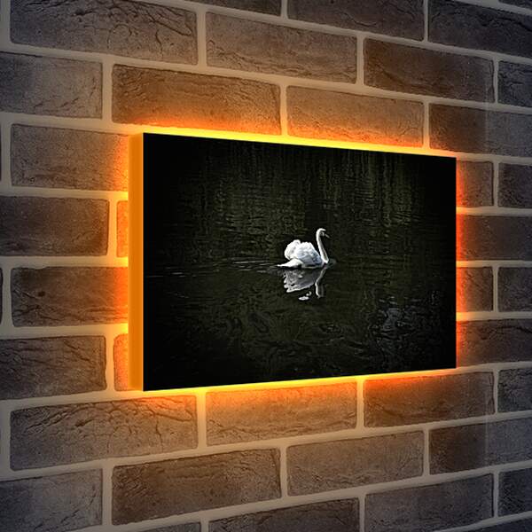 Лайтбокс световая панель - Лебедь плывёт