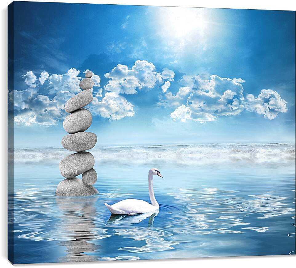 Постер и плакат - Лебедь на воде