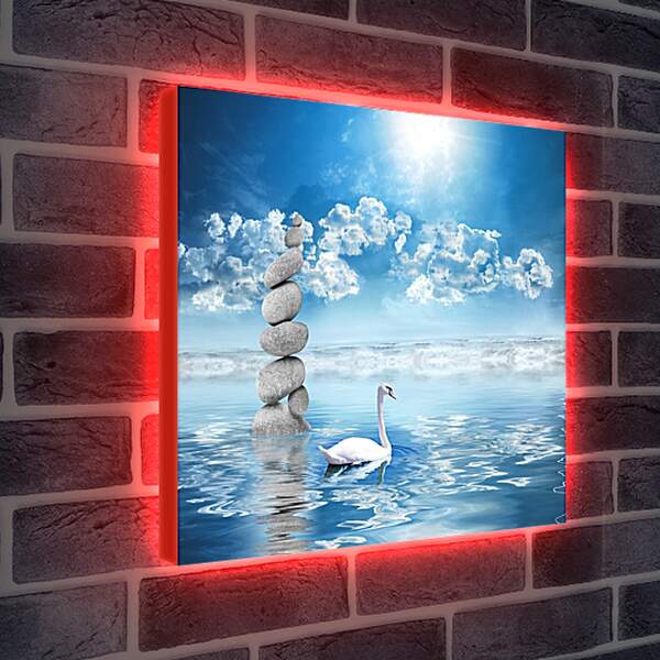 Лайтбокс световая панель - Лебедь на воде