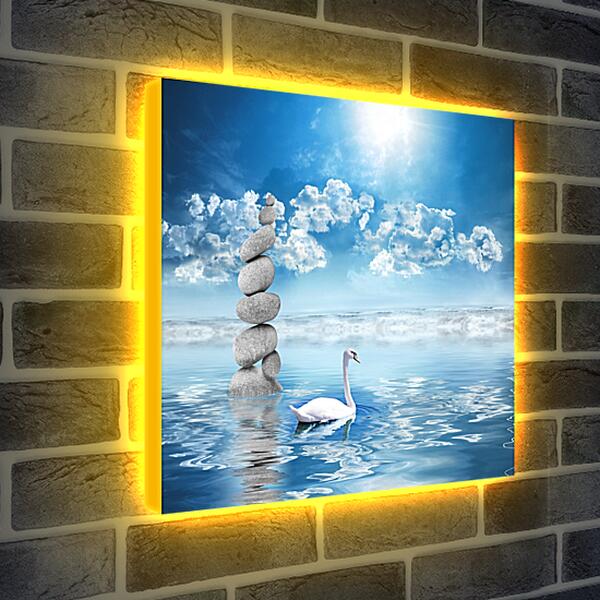 Лайтбокс световая панель - Лебедь на воде