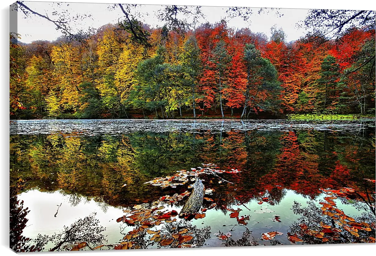 Постер и плакат - Осень