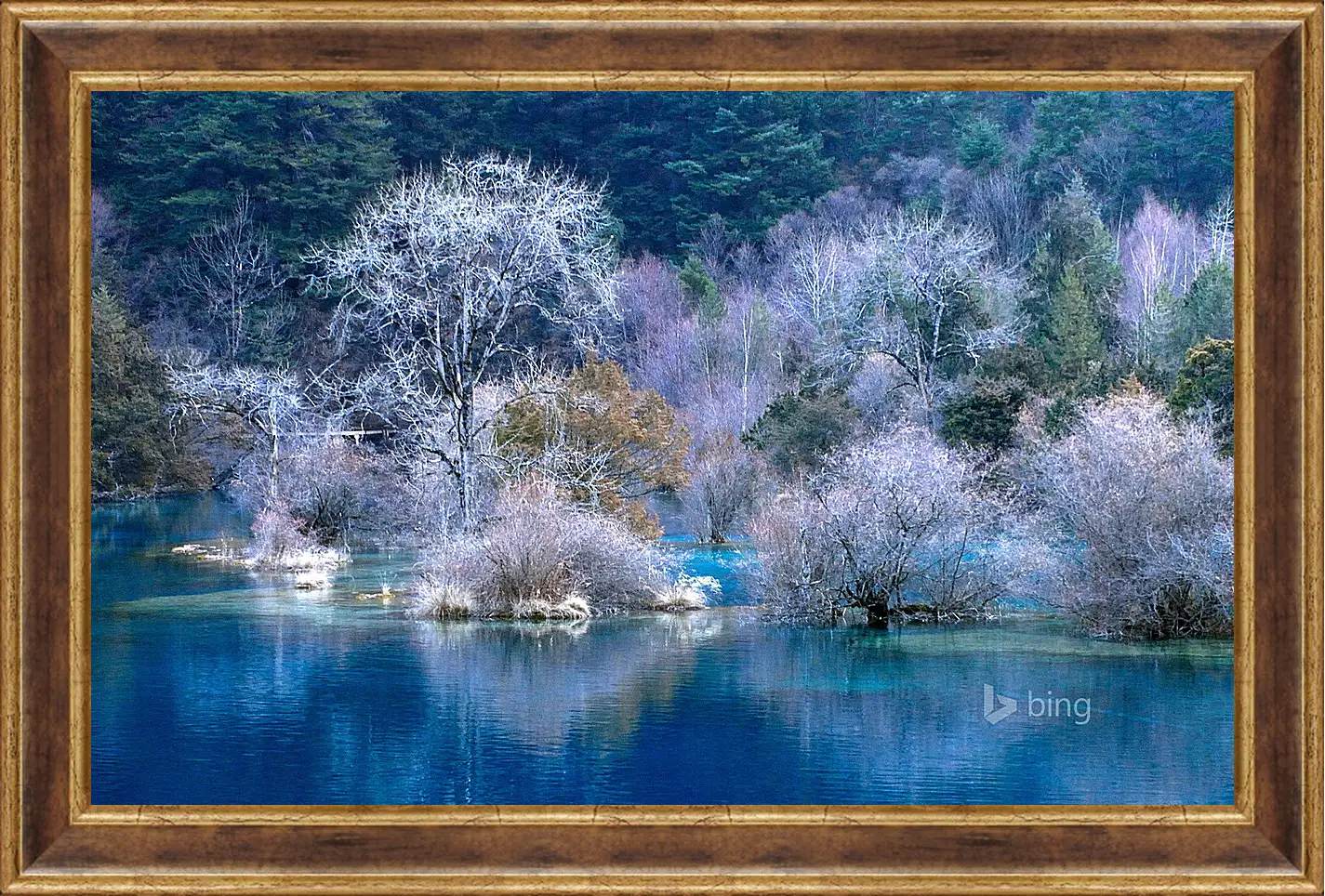 Картина в раме - Осень