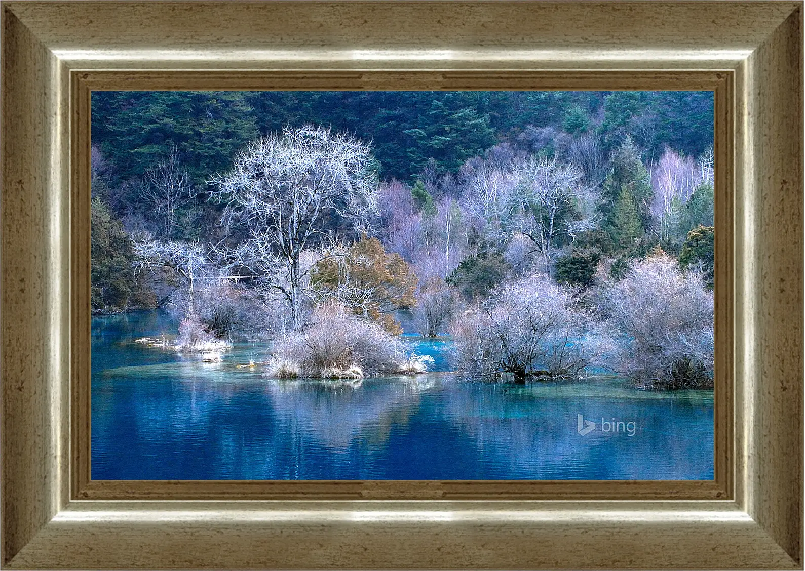 Картина в раме - Осень