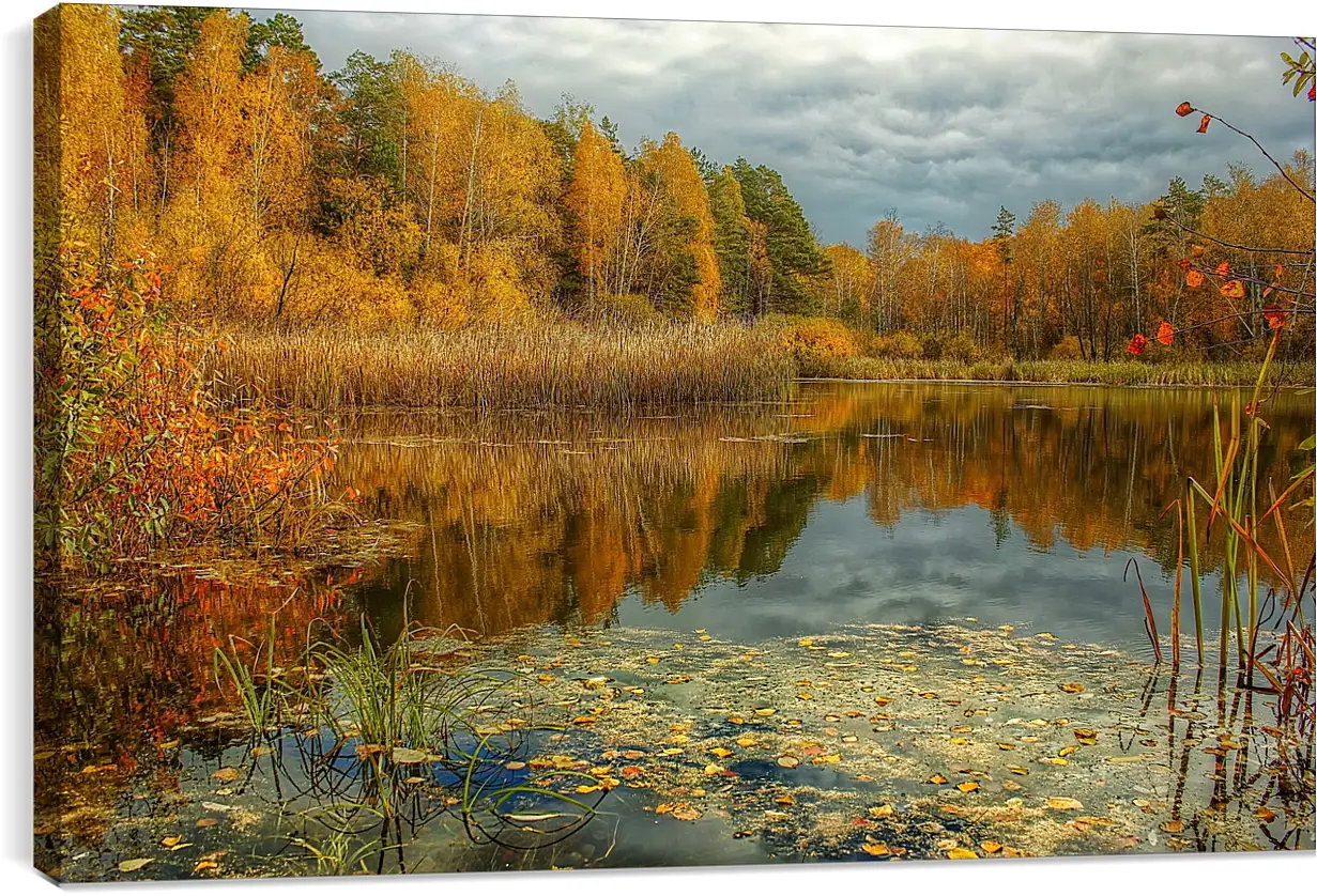 Постер и плакат - Осень