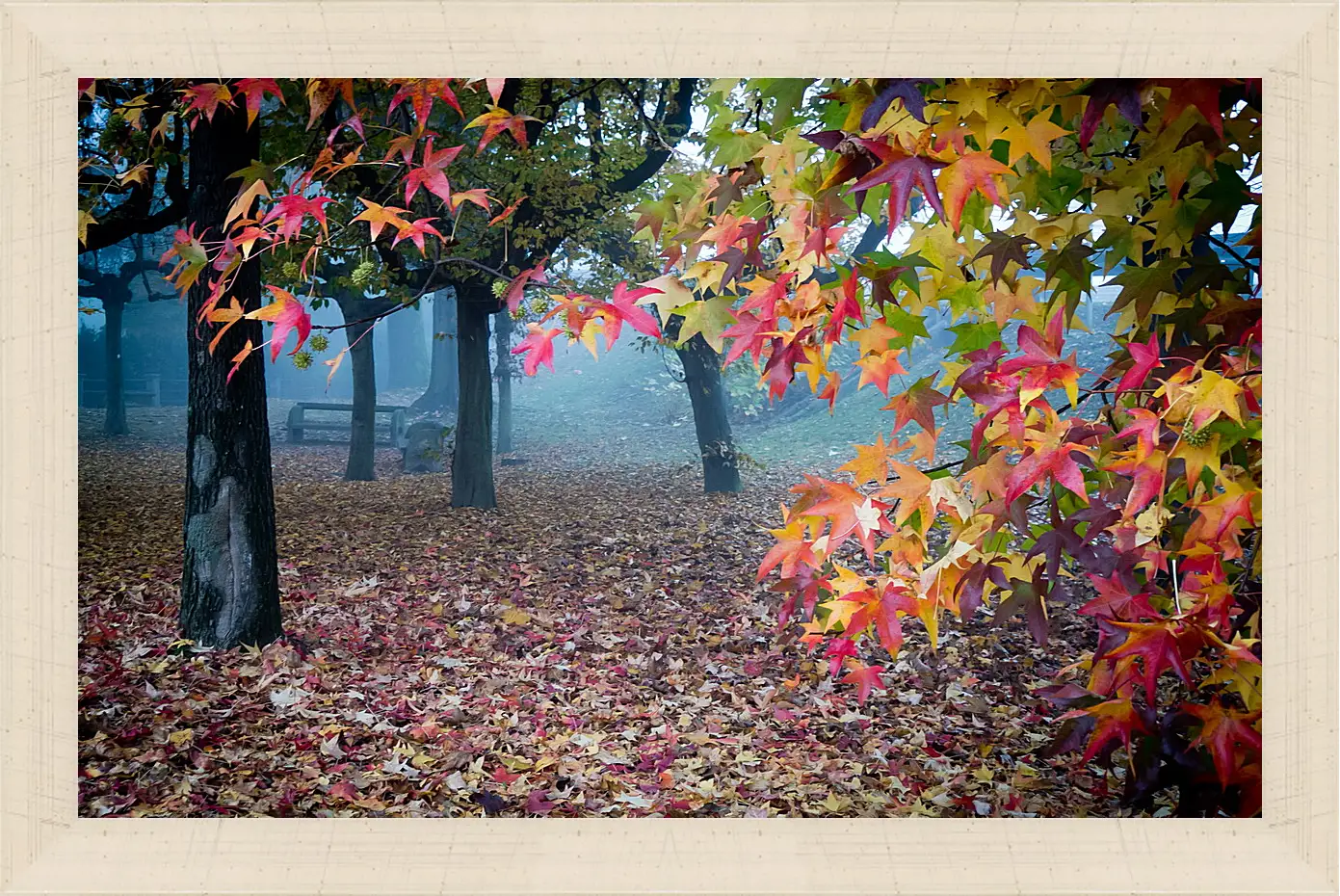 Картина в раме - Осень