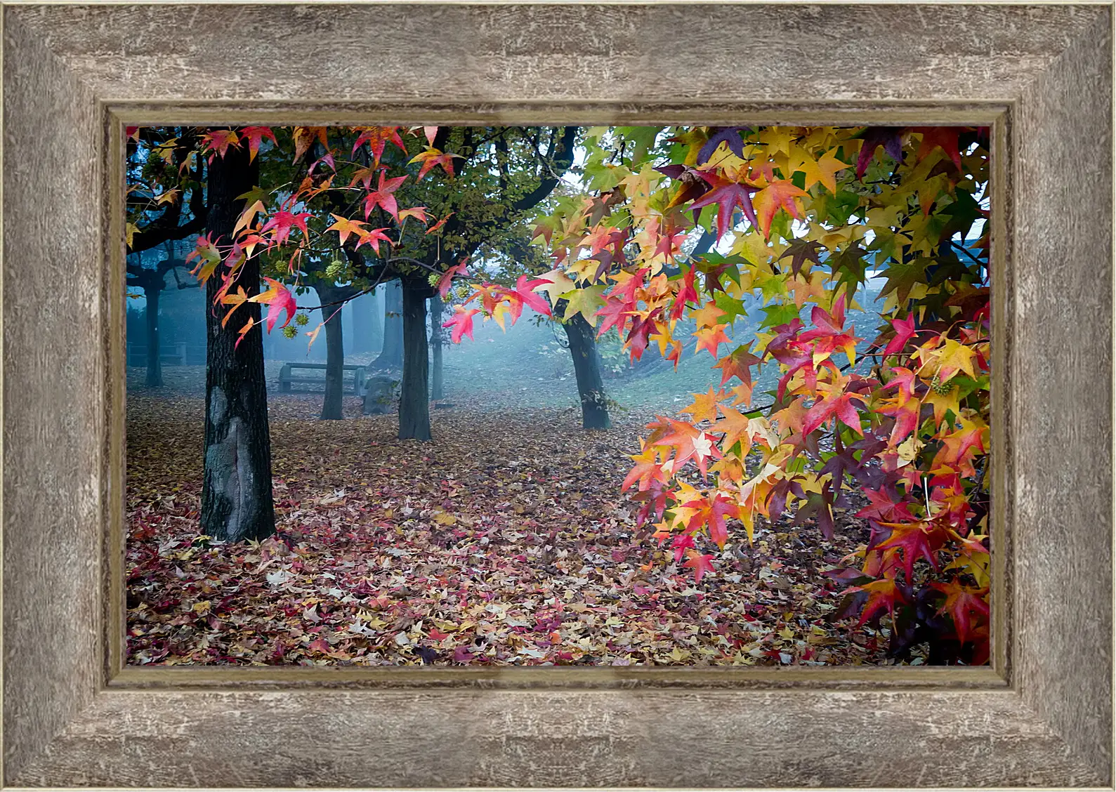 Картина в раме - Осень