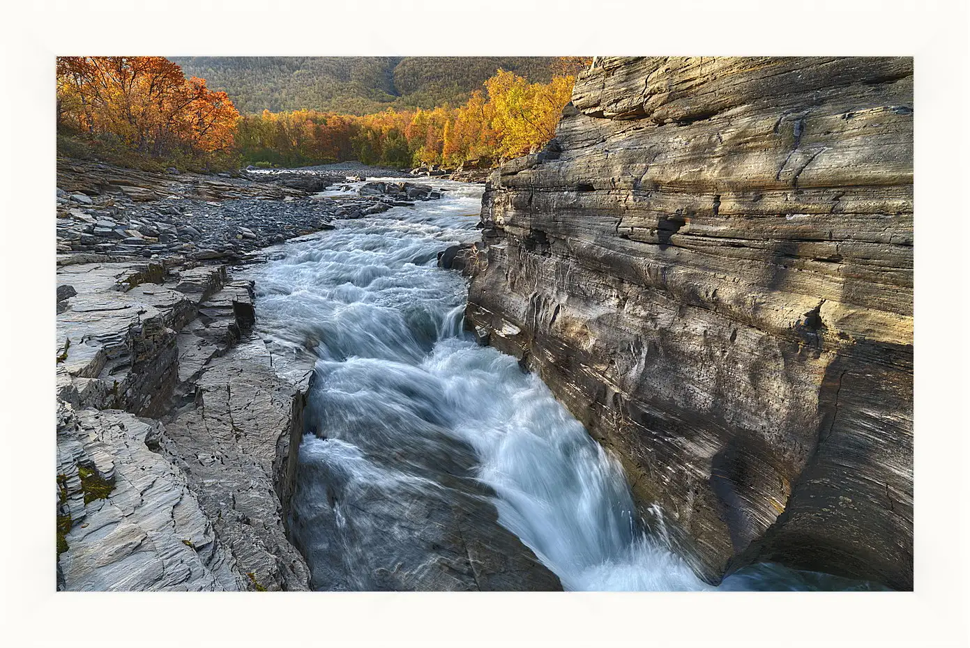 Картина в раме - Осень