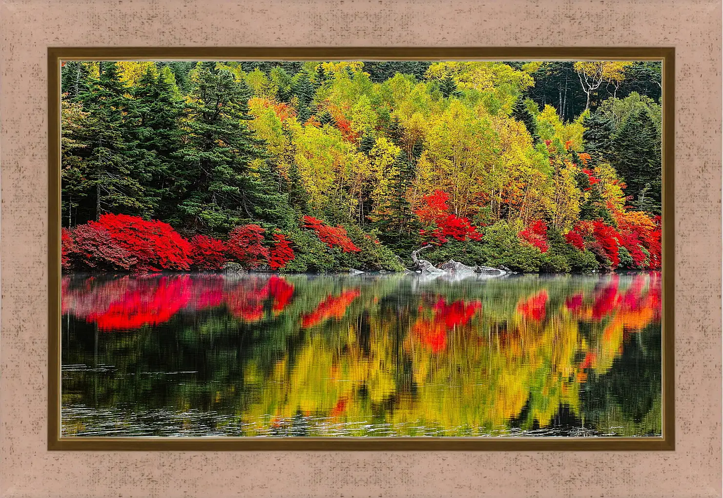 Картина в раме - Осень