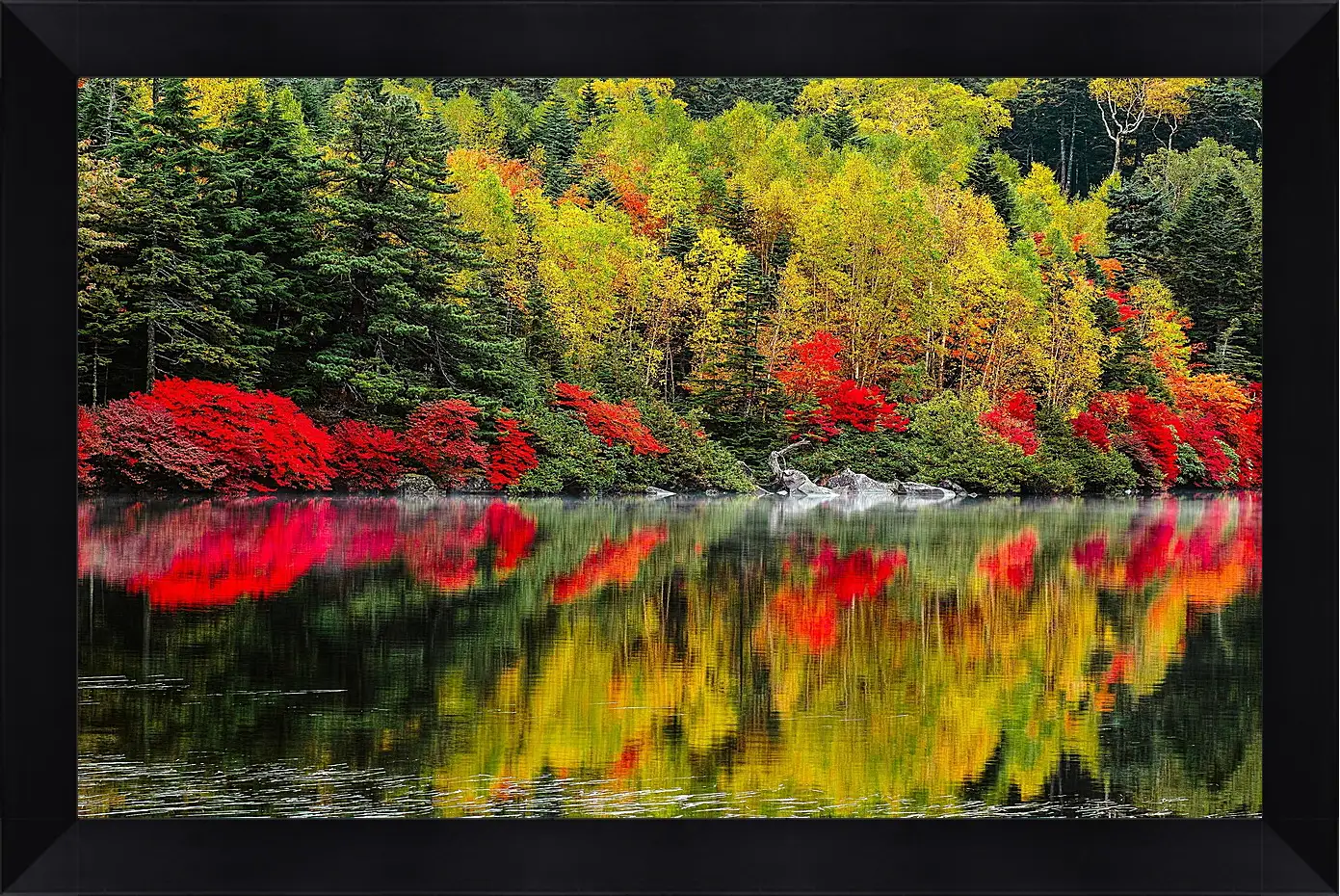 Картина в раме - Осень