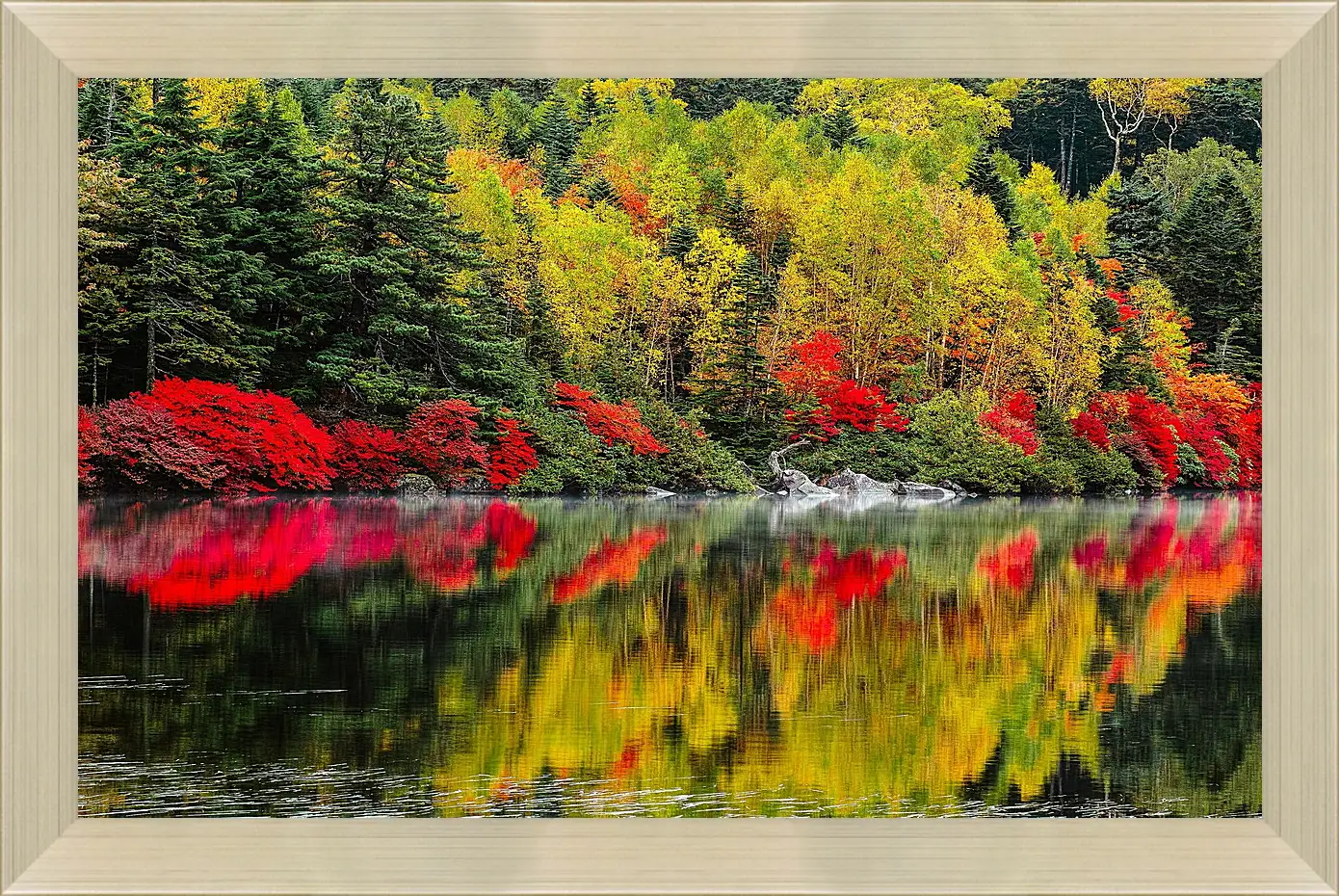 Картина в раме - Осень