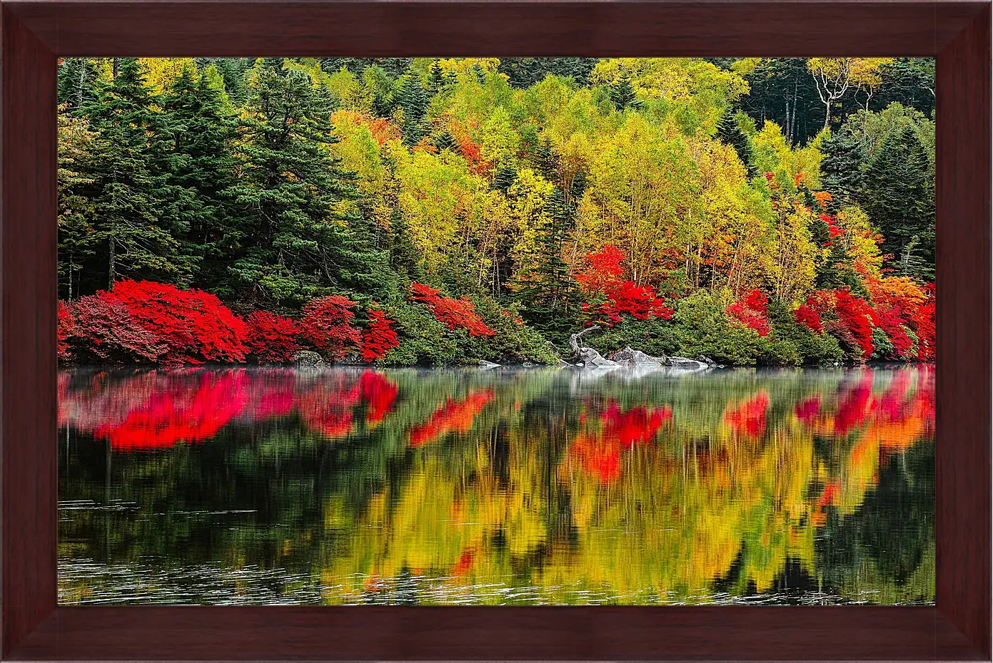 Картина в раме - Осень