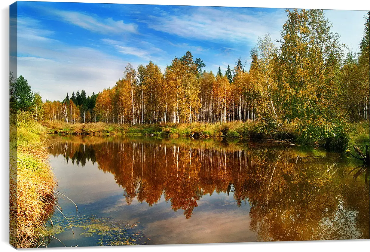 Постер и плакат - Осень