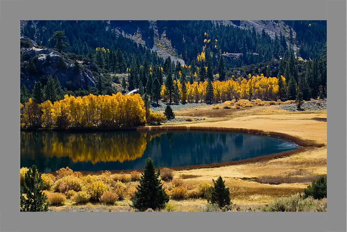 Картина в раме - Осень