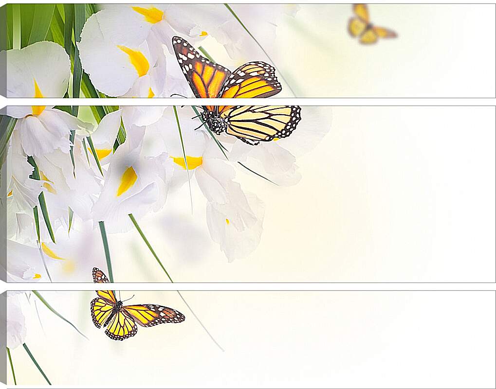 Модульная картина - Бабочки на белом цветке