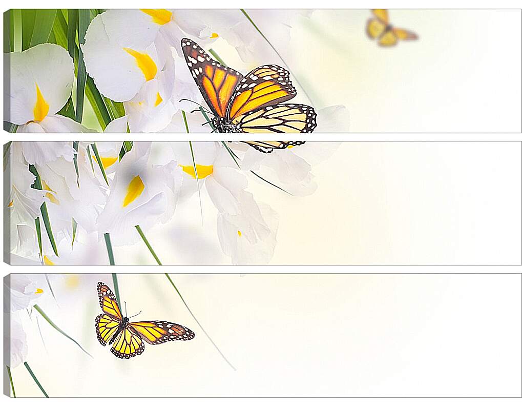 Модульная картина - Бабочки на белом цветке