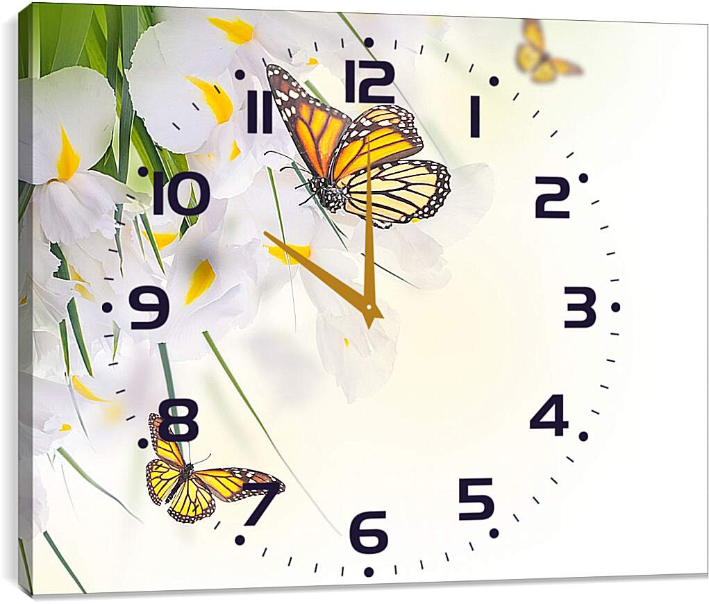 Часы картина - Бабочки на белом цветке
