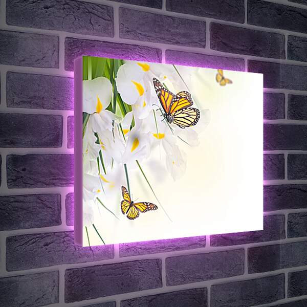 Лайтбокс световая панель - Бабочки на белом цветке