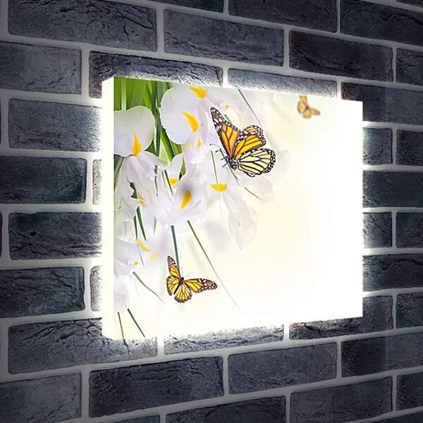 Лайтбокс световая панель - Бабочки на белом цветке