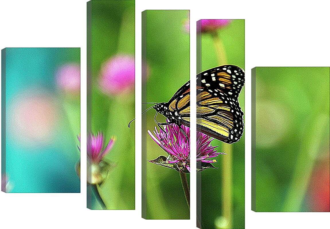 Модульная картина - Бабочка в поле