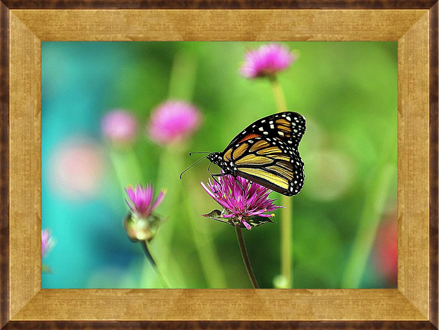 Картина в раме - Бабочка в поле