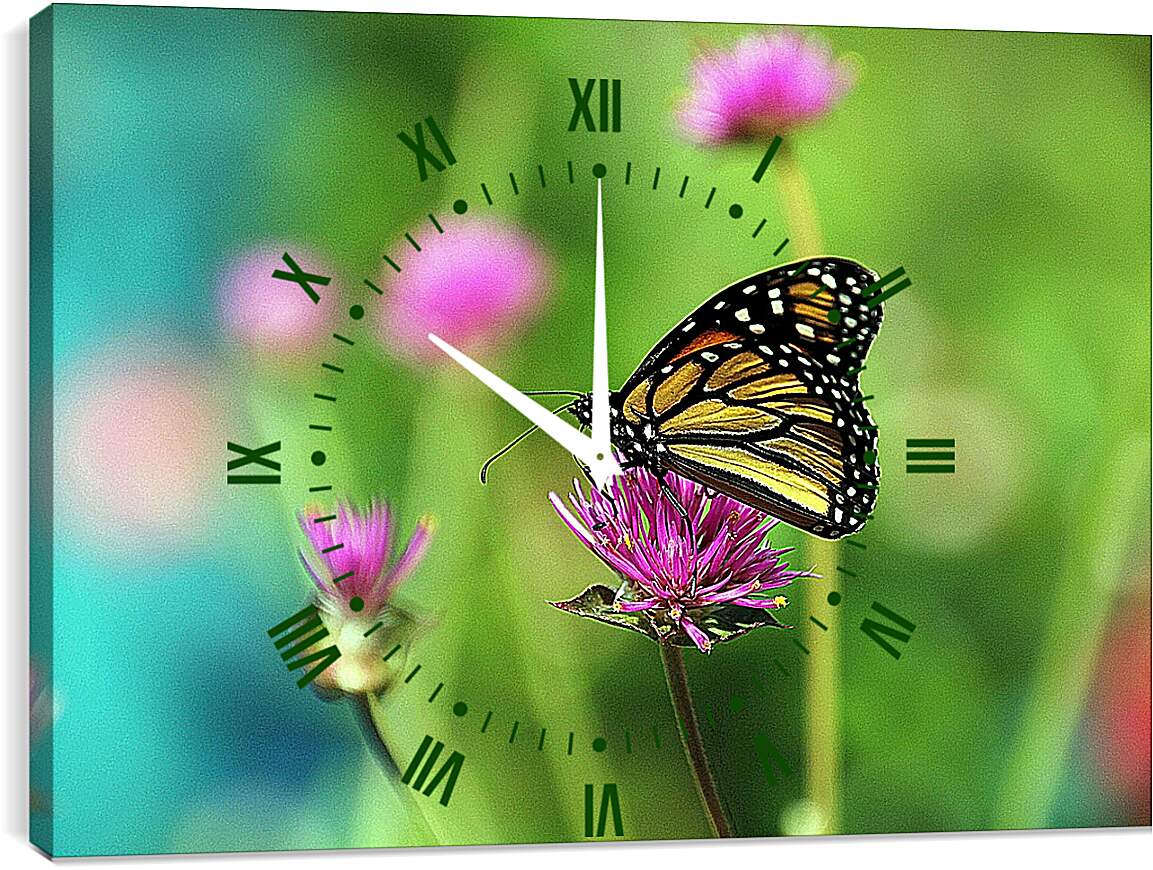 Часы картина - Бабочка в поле