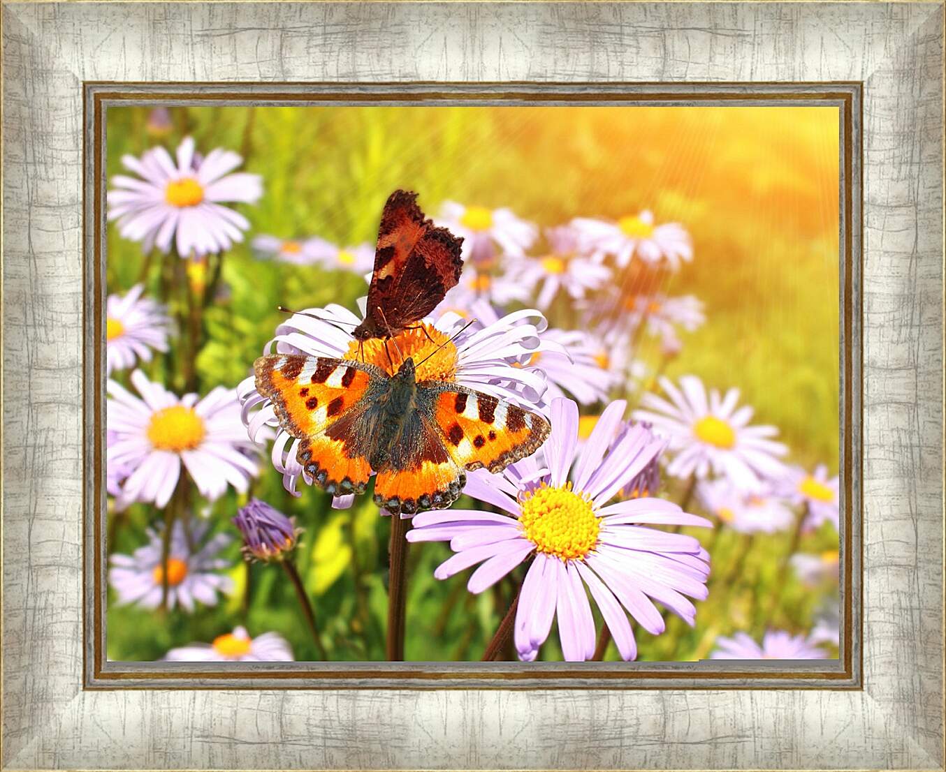 Картина в раме - Бабочка и орхидеи