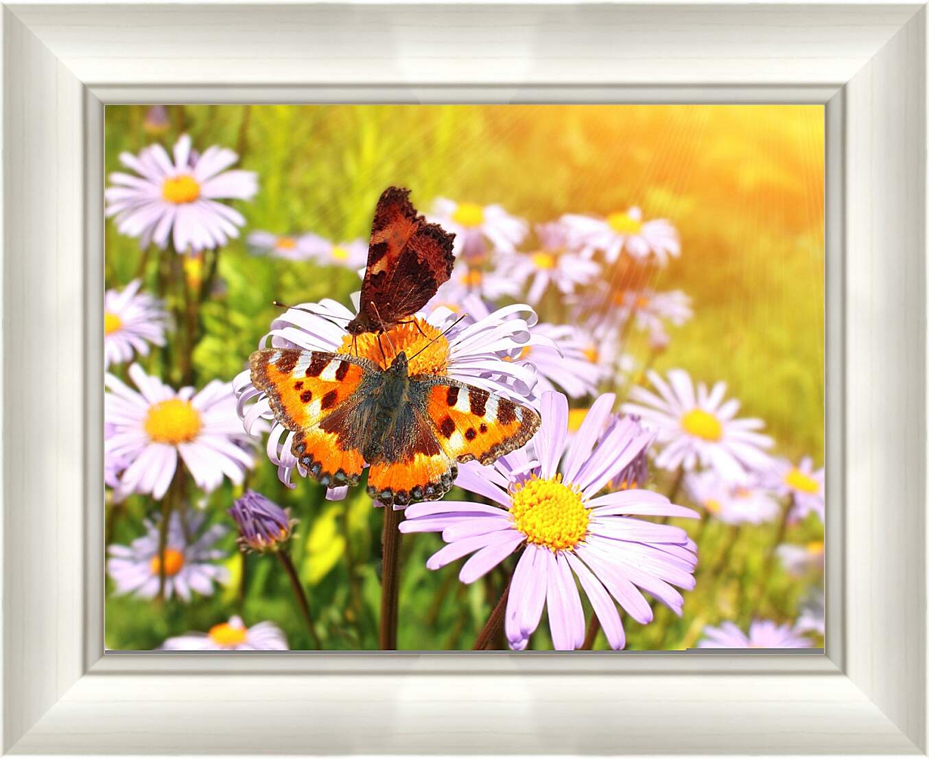 Картина в раме - Бабочка и орхидеи