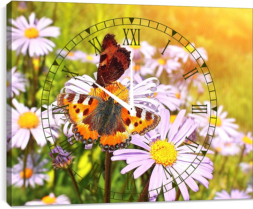 Часы картина - Бабочка и орхидеи
