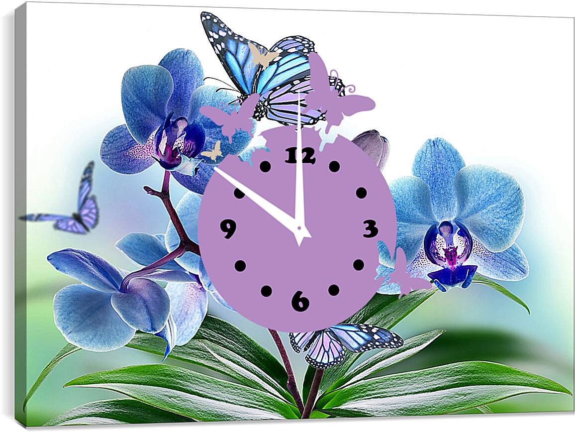 Часы картина - Бабочка крупным планом