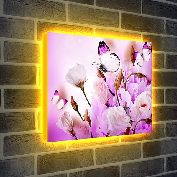 Лайтбокс световая панель - Бабочка на желтых цветках