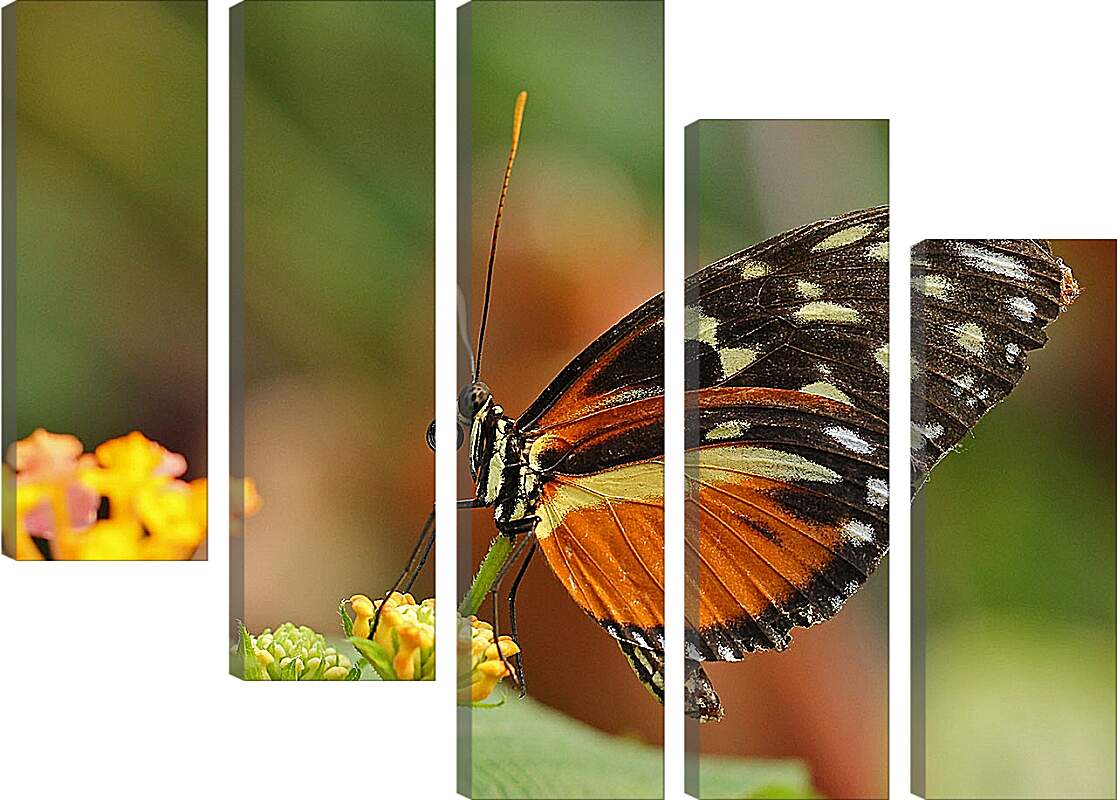 Модульная картина - Бабочка на листочке