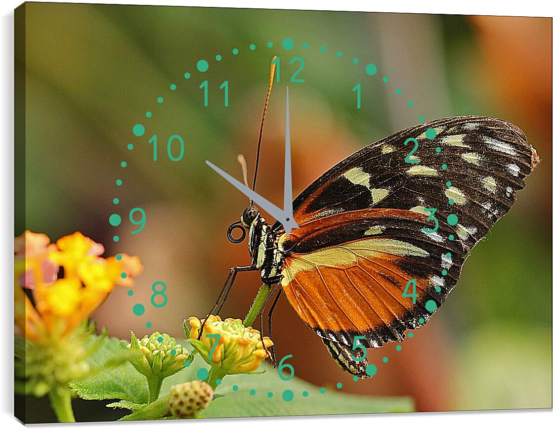 Часы картина - Бабочка на листочке