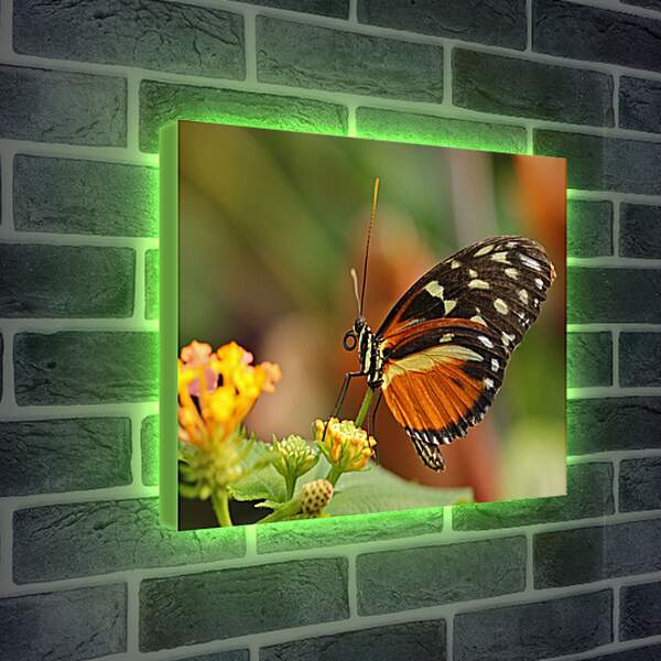 Лайтбокс световая панель - Бабочка на листочке