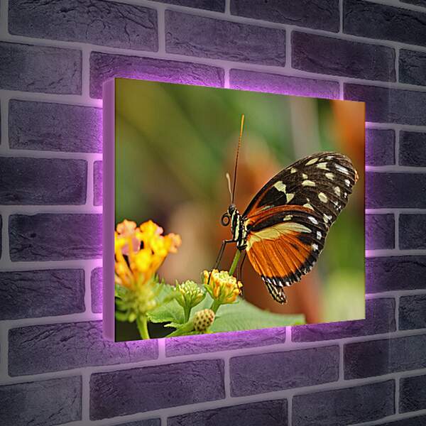 Лайтбокс световая панель - Бабочка на листочке
