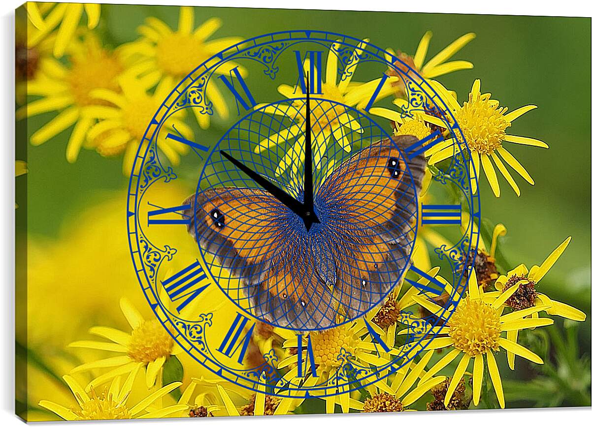 Часы картина - Бабочка на оранжевом фоне