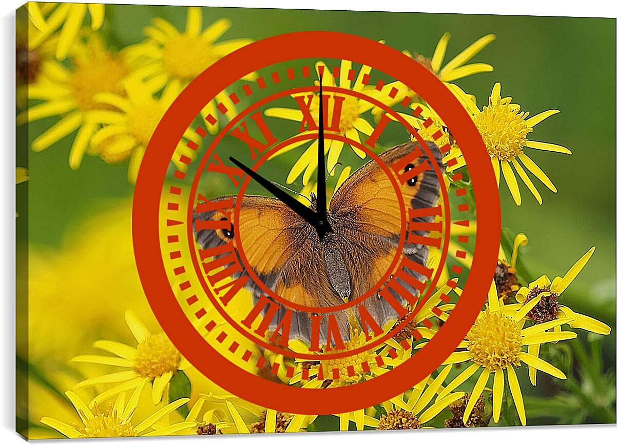 Часы картина - Бабочка на оранжевом фоне