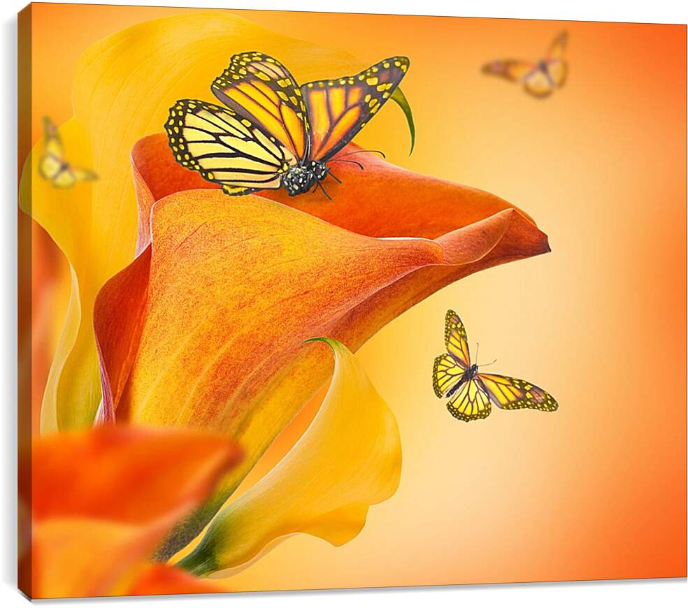Постер и плакат - Бабочка опыляет цветок