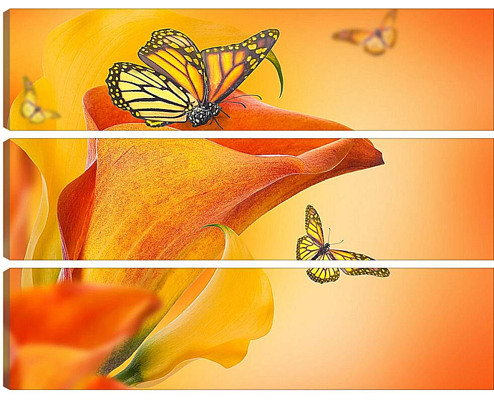 Модульная картина - Бабочка опыляет цветок